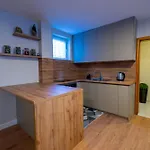 Blidinje Bliss Holiday home Risovac