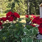 Blidinje Bliss